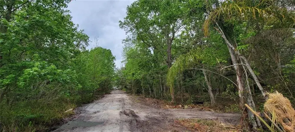 Property for sale at 0 N POINCIANA BOULEVARD, KISSIMMEE, FL, 34746