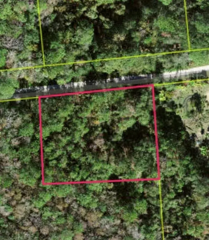 Property for sale at Lot 48 AMELIA TRAIL, KISSIMMEE, FL, 34747