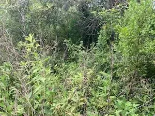 Property for sale at SWEETWATER TRAIL, KISSIMMEE, FL, 34747