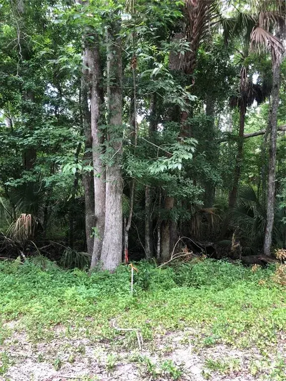 Beginning of the lot on the left side.