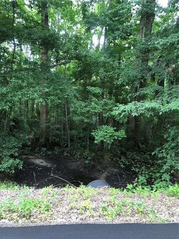 Creeks by the green poles