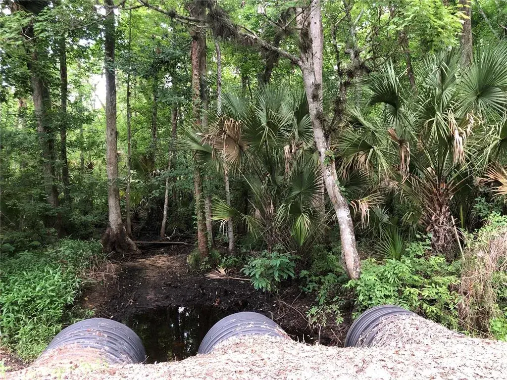Creeks by the green poles