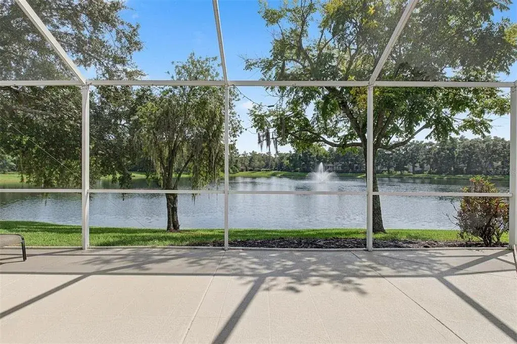 Amazing view of the Pond!