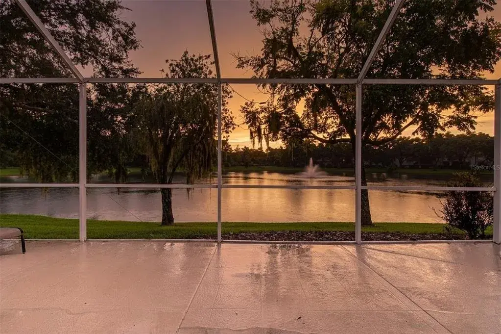 Night time pond view - this is where you can have your romantic dinners!