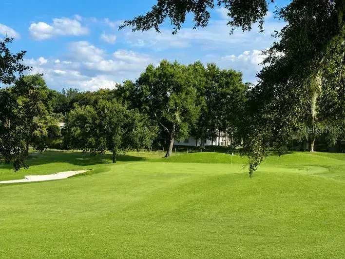 Home Golf View