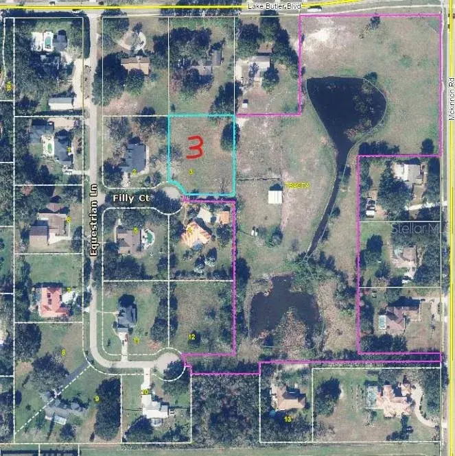 Property for sale at 13125 FILLY COURT, WINDERMERE, FL, 34786