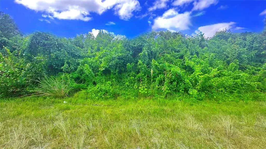 Property for sale at 10 SW 24TH AVENUE, CAPE CORAL, FL, 33991