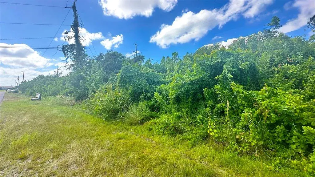 Property for sale at 10 SW 24TH AVENUE, CAPE CORAL, FL, 33991