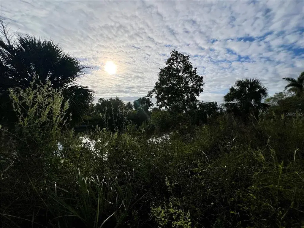 Property for sale at 1229 NE 13TH PLACE, CAPE CORAL, FL, 33909