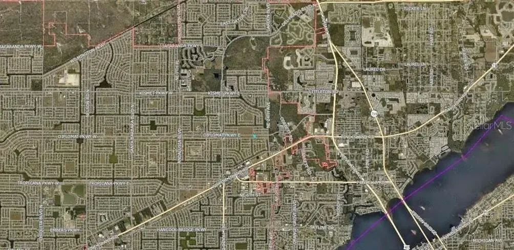 Property for sale at 2104 DIPLOMAT PARKWAY E, CAPE CORAL, FL, 33909