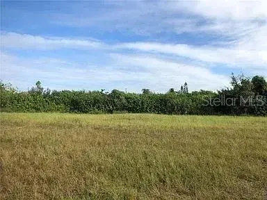 Property for sale at 339 NE 19TH TERRACE, CAPE CORAL, FL, 33909