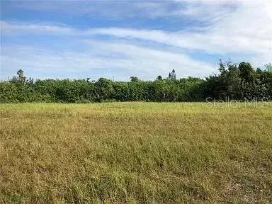 Property for sale at 339 NE 19TH TERRACE, CAPE CORAL, FL, 33909