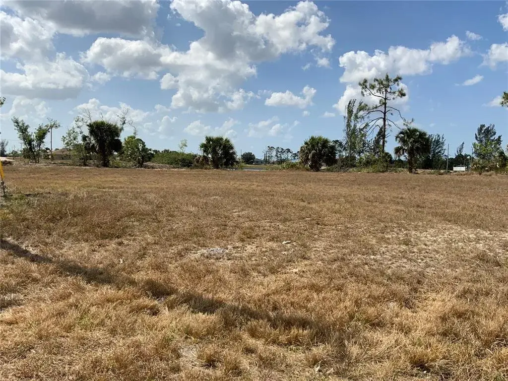 Cleared Oversized Lot