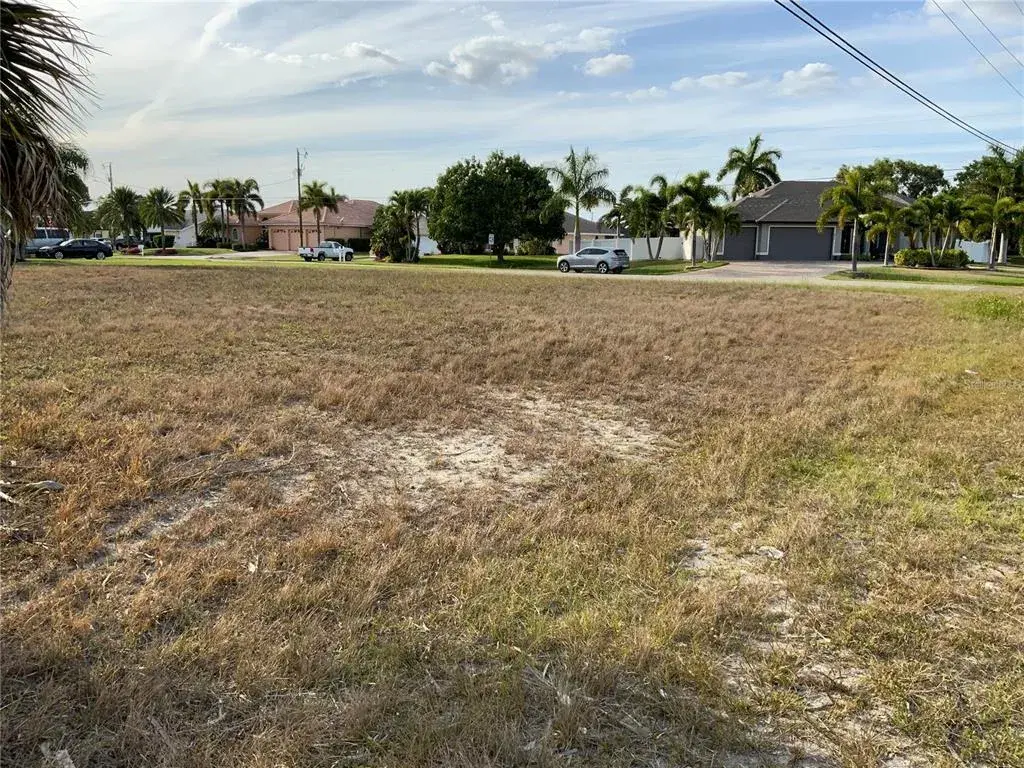 Neighborhood View