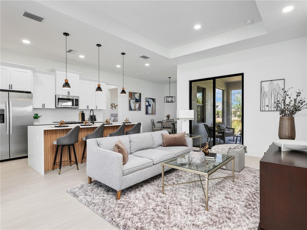 Living Area and Kitchen