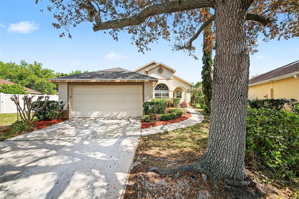 2238 Holly Ridge Drive, Ocoee, FL, 34761