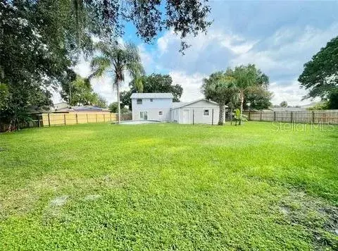 back yard
