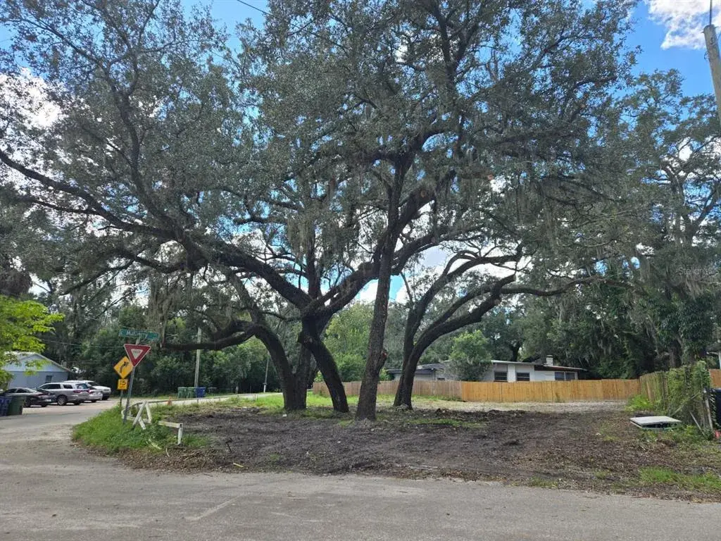 View of a corner lot from the street