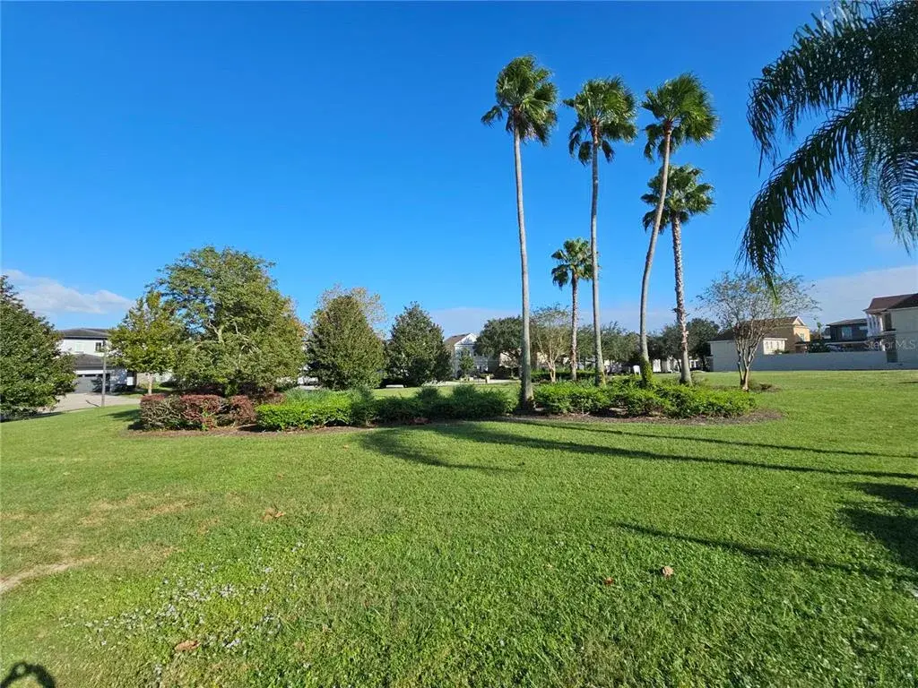Bark Yard Park View