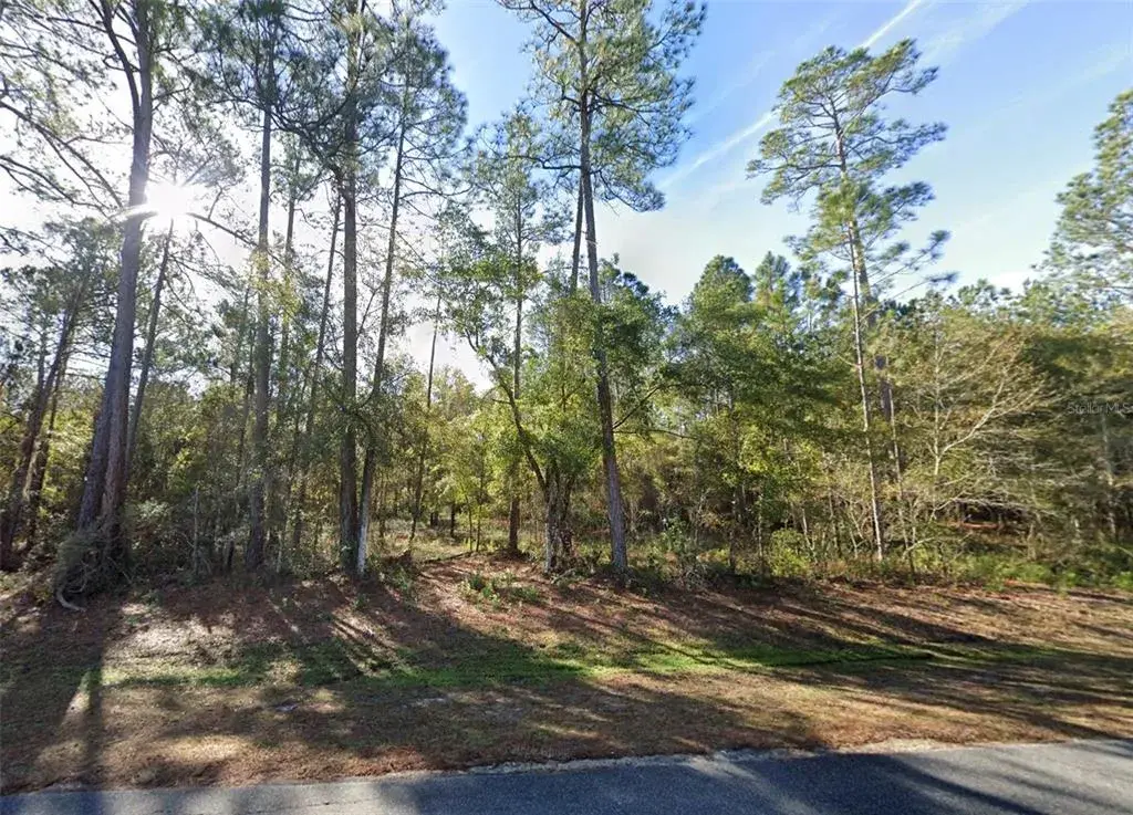 Property for sale at 200 NW SCENIC LAKE DRIVE, LAKE CITY, FL, 32055