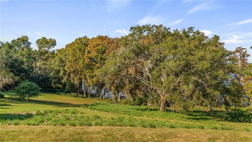 Property for sale at LAKE SWATARA DRIVE, EUSTIS, FL, 32736
