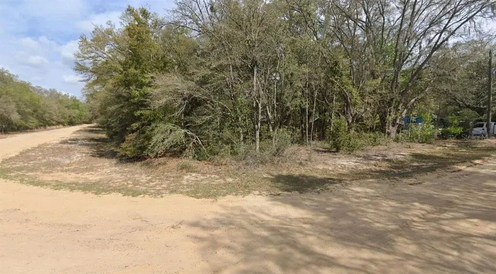 Property for sale at 00 DENISE STREET, INTERLACHEN, FL, 32148