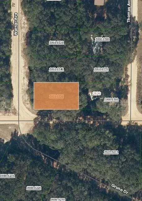 Property for sale at 00 DENISE STREET, INTERLACHEN, FL, 32148