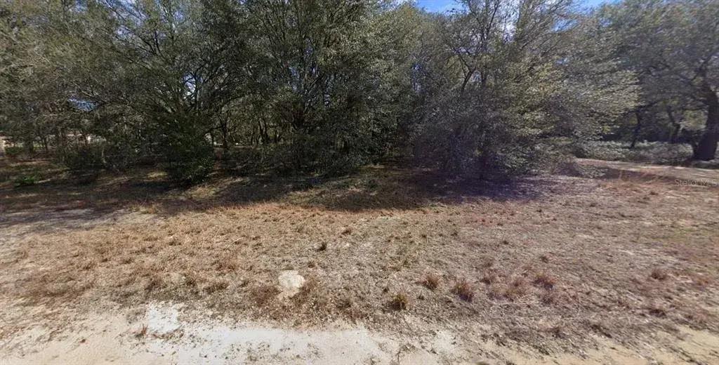 Property for sale at 00 DENISE STREET, INTERLACHEN, FL, 32148
