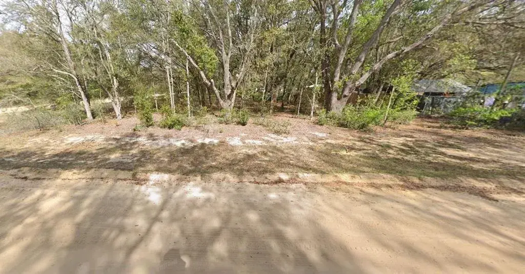 Property for sale at 00 DENISE STREET, INTERLACHEN, FL, 32148