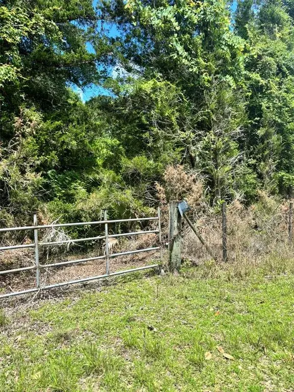 Property for sale at 11916 NW 80TH COURT, CHIEFLAND, FL, 32626