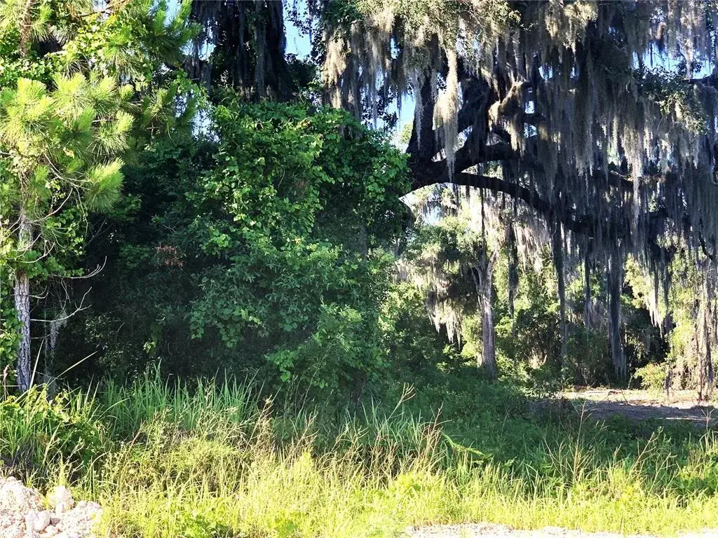 Property for sale at 27551 JACKSON COURT, OKAHUMPKA, FL, 34762