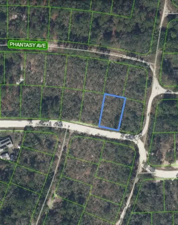 Property for sale at 284 DEERWALK AVENUE, LAKE PLACID, FL, 33852