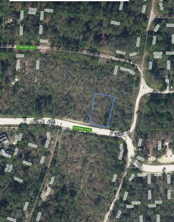 Property for sale at 284 DEERWALK AVENUE, LAKE PLACID, FL, 33852