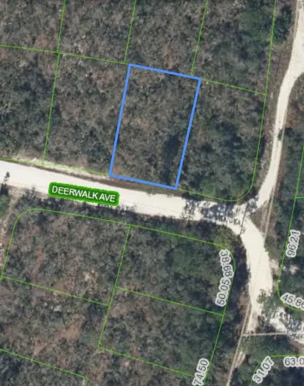 Property for sale at 284 DEERWALK AVENUE, LAKE PLACID, FL, 33852