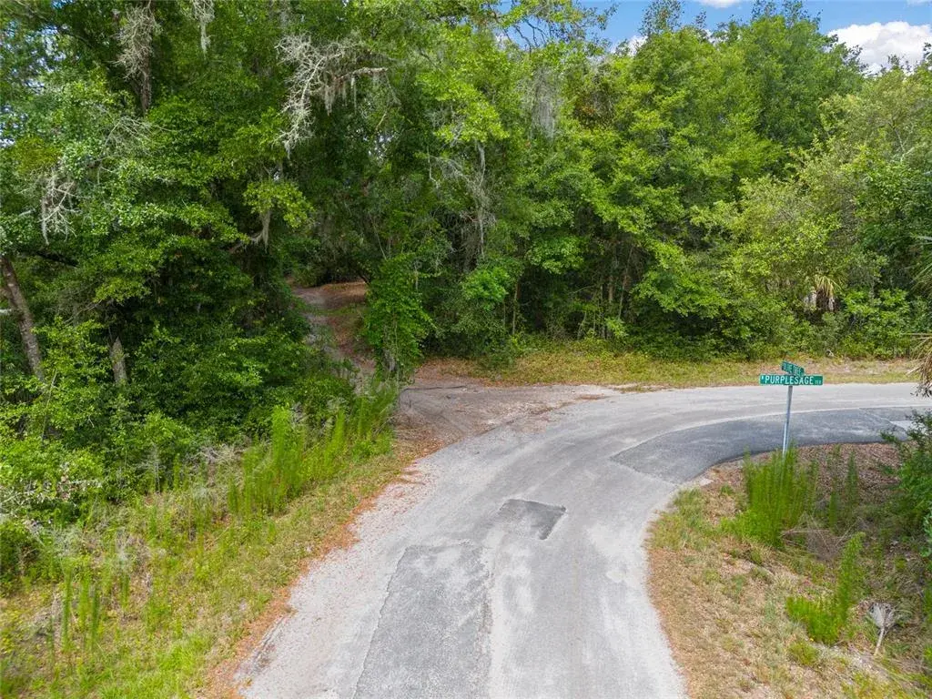 Property for sale at 12180 W OLIVE TREE LANE, CRYSTAL RIVER, FL, 34428