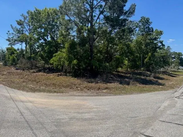 Property for sale at 11364 PATCH STREET, SPRING HILL, FL, 34609