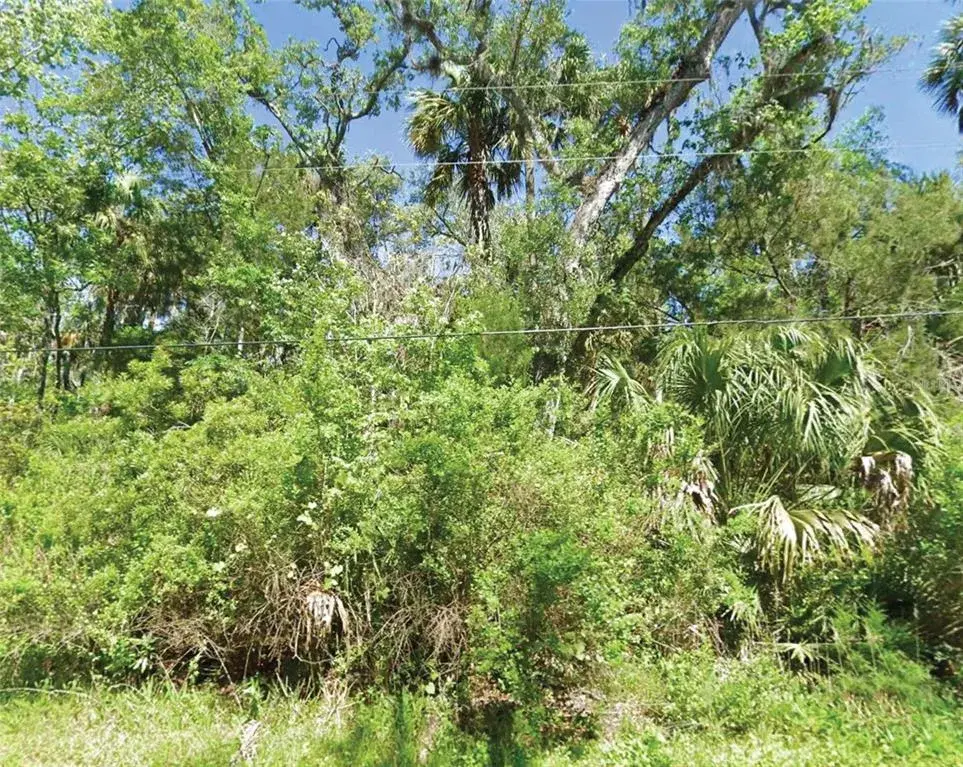 Property for sale at 10243 W PALMETTO STREET, HOMOSASSA, FL, 34448