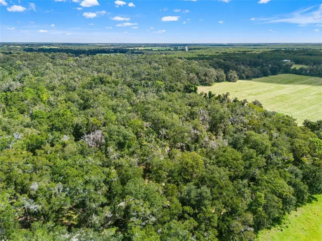 Property for sale at 11426 S PLEASANT GROVE ROAD, FLORAL CITY, FL, 34436