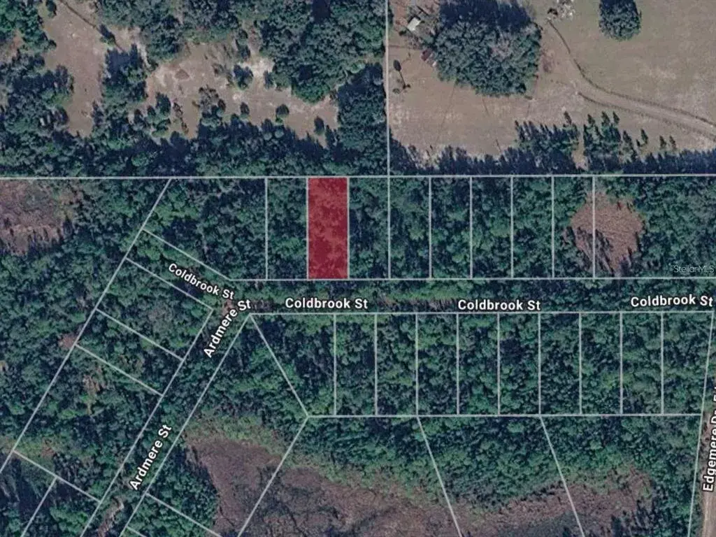 Property for sale at 116 COLDBROOK STREET, GEORGETOWN, FL, 32139