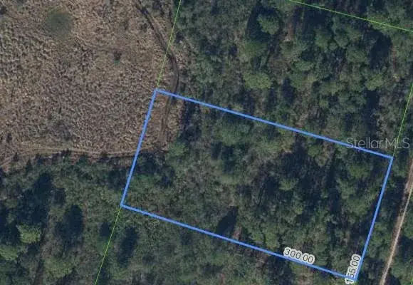 Property for sale at 734 DOLPHIN AVENUE, LAKE PLACID, FL, 33852