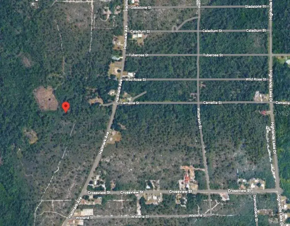 Property for sale at 734 DOLPHIN AVENUE, LAKE PLACID, FL, 33852