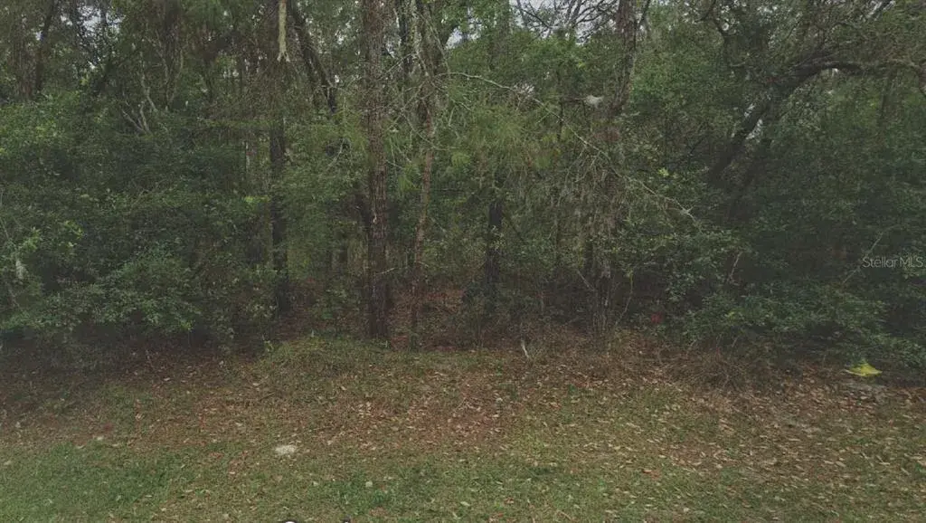 Property for sale at 105 RHODE ISLAND AVENUE, SATSUMA, FL, 32189