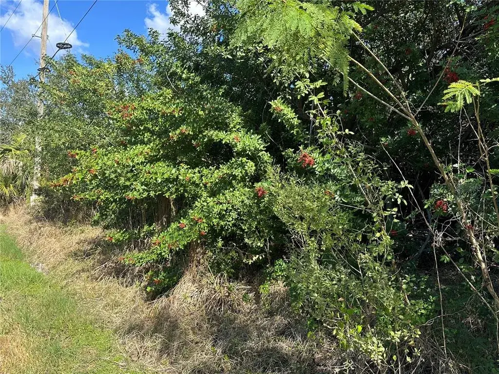 Property for sale at 1460 WESTOVER STREET, PORT CHARLOTTE, FL, 33953