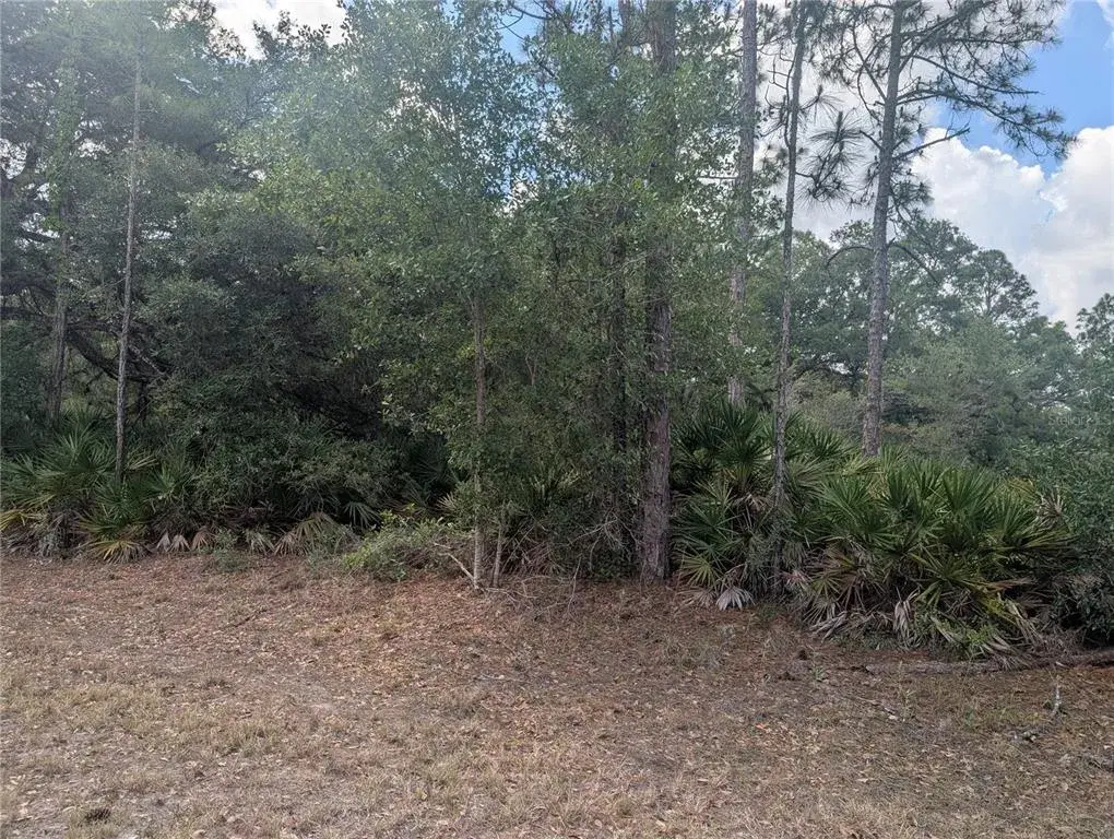 Property for sale at ALLAMANDA DRIVE, INDIAN LAKE ESTATES, FL, 33855