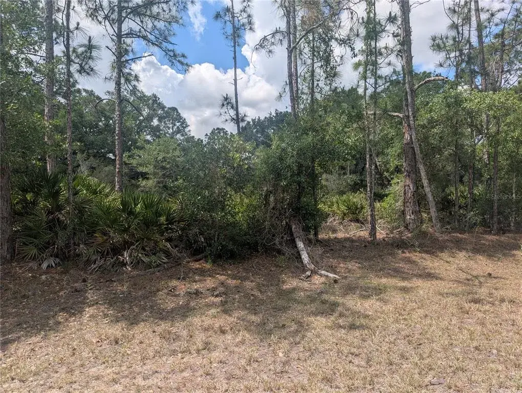 Property for sale at ALLAMANDA DRIVE, INDIAN LAKE ESTATES, FL, 33855