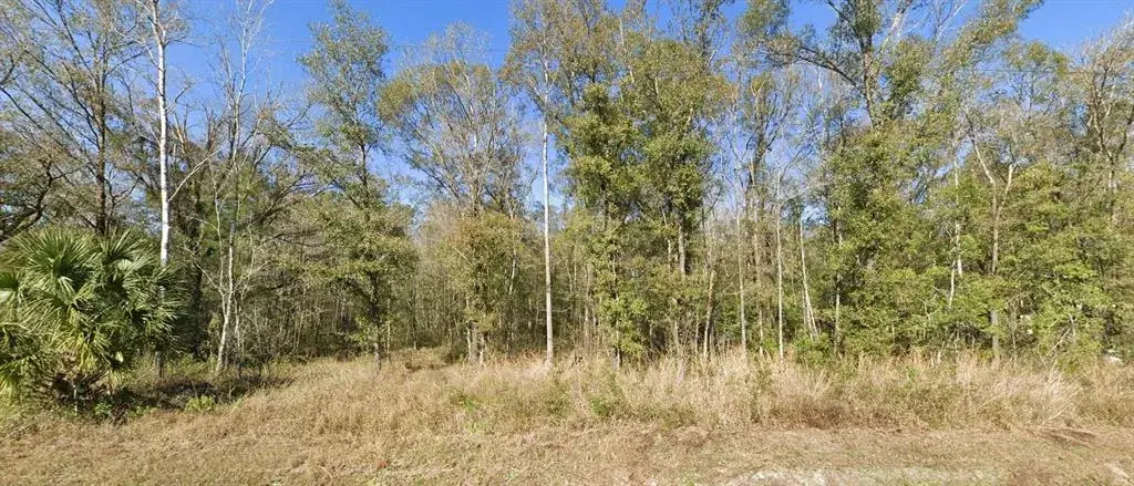 Property for sale at 4720 JONATHAN STREET, HASTINGS, FL, 32145