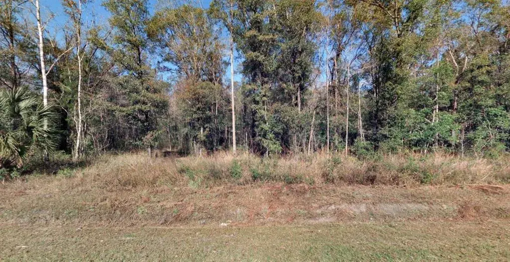 Property for sale at 4720 JONATHAN STREET, HASTINGS, FL, 32145