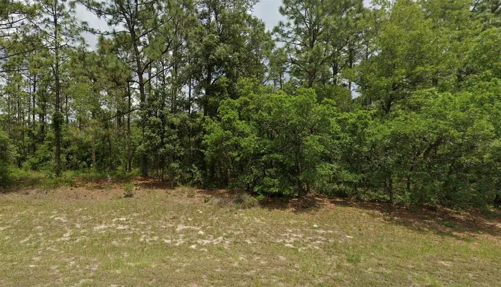 Property for sale at 6264 SW 136TH PLACE, OCALA, FL, 34473