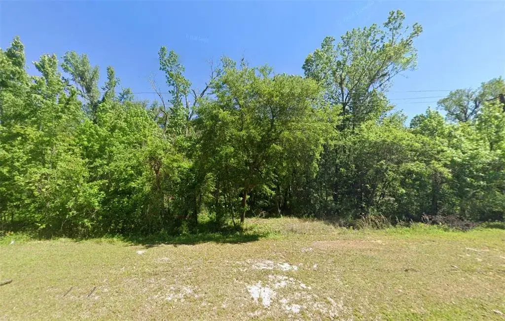 Property for sale at 33901 ST JOE ROAD, DADE CITY, FL, 33525