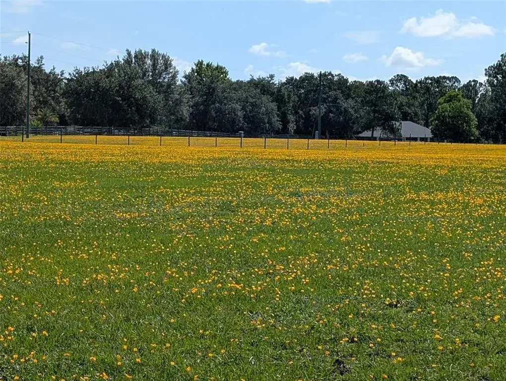 Property for sale at GREEN SWAMP ROAD, CLERMONT, FL, 34714